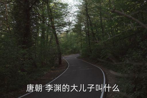 李淵的兒子,李淵之子李世民的故事