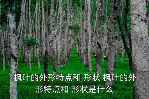 楓葉的形狀,秋日紅葉變紅色的龍須草