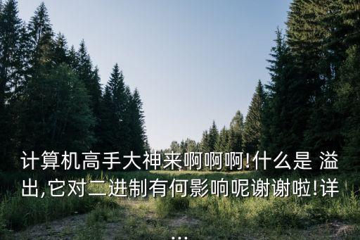 計算機高手大神來啊啊啊!什么是 溢出,它對二進制有何影響呢謝謝啦!詳...