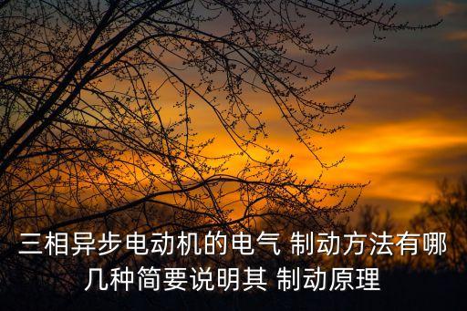 再生制動(dòng),電動(dòng)轎車的制動(dòng)系統(tǒng)結(jié)構(gòu)如圖所示