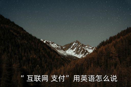 “ 互聯(lián)網(wǎng) 支付”用英語(yǔ)怎么說(shuō)