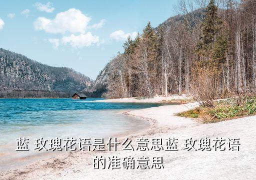 藍色玫瑰花,藍色妖姬之名來自意大利