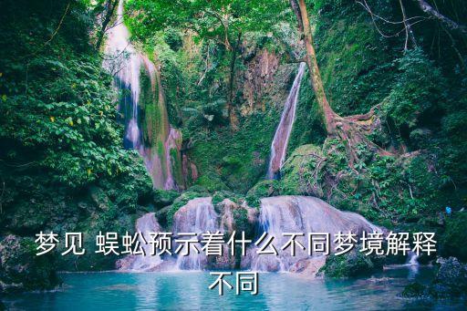  夢(mèng)見 蜈蚣預(yù)示著什么不同夢(mèng)境解釋不同