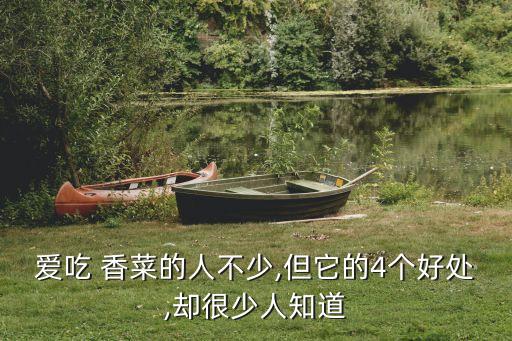 吃香菜,香港怎么吃最好涼拌吃