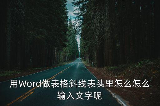 用Word做表格斜線表頭里怎么怎么輸入文字呢