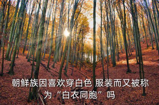  朝鮮族因喜歡穿白色 服裝而又被稱為“白衣同胞”嗎