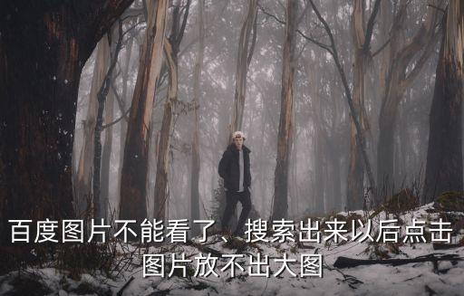不能看的圖片,關(guān)閉瀏覽器過濾功能后需清空緩存文件