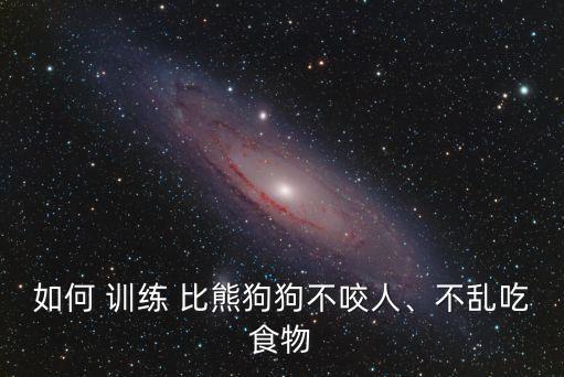 怎么訓練比熊,怎么訓練比熊上廁所?