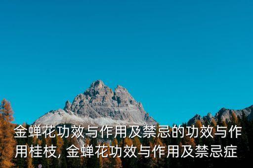  金蟬花功效與作用及禁忌的功效與作用桂枝, 金蟬花功效與作用及禁忌癥