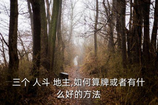三個 人斗 地主,如何算牌或者有什么好的方法