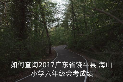 如何查詢2017廣東省饒平縣 海山 小學六年級會考成績