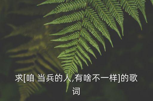 歌曲咱當兵的人,中文名:za當兵作詞:曲、演唱:劉斌