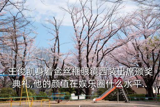 王俊凱的照片,王俊凱發布演唱會前夕的照片感動網民