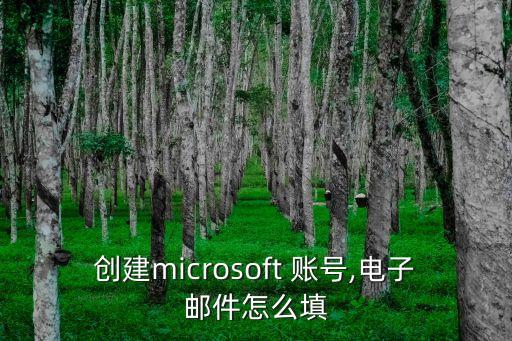 微軟賬號注冊,win10新筆記本不用注冊微軟賬號