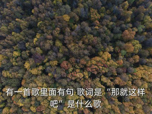 有一首歌里面有句 歌詞是“那就這樣吧”是什么歌