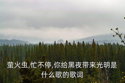 螢火蟲,忙不停,你給黑夜帶來光明是什么歌的歌詞