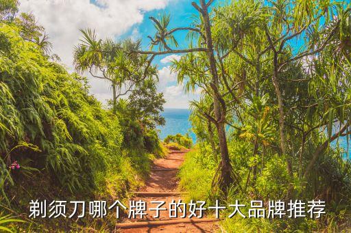 飛科和飛利浦剃須刀哪個好,剃須刀哪個牌子好?飛科和流科哪個好?
