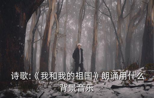  詩歌:《我和我的祖國》朗誦用什么背景音樂
