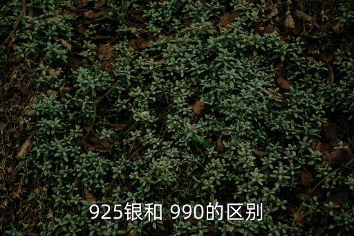 925銀和 990的區(qū)別