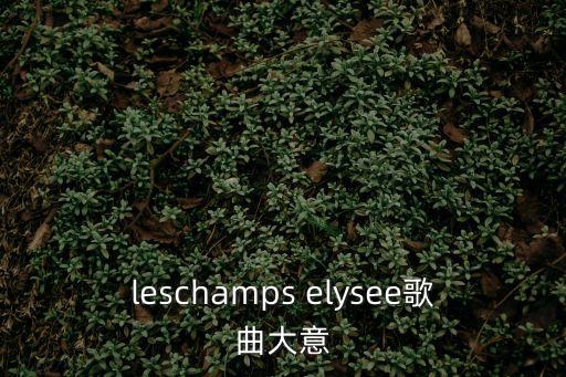 elysee,香榭麗舍大街的繁華景象