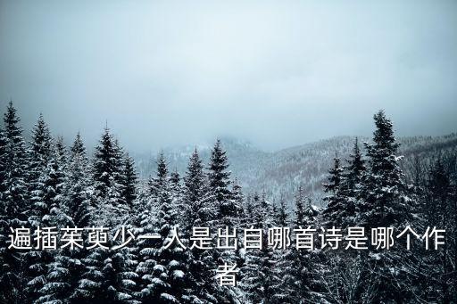 遍插茱萸，遍插茱萸少一人是出自哪首詩是哪個作者