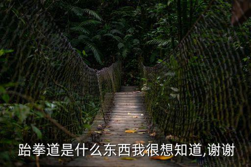跆拳,學習跆拳道需要具備什么樣的素質?
