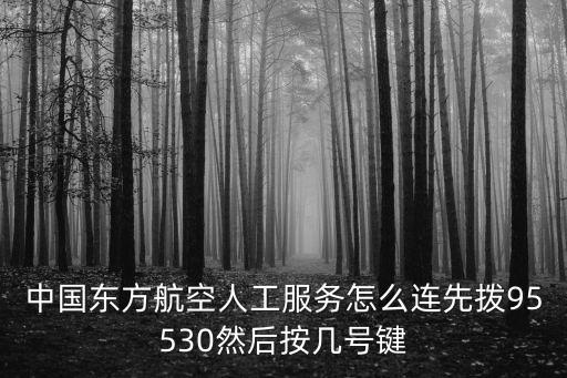 中國東方航空人工服務怎么連先撥95530然后按幾號鍵