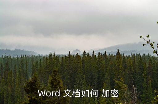 Word 文檔如何 加密