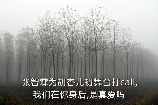  張智霖為胡杏兒初舞臺打call,我們在你身后,是真愛嗎