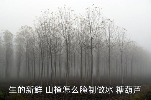 山楂糖葫蘆的做法,跟我學糖葫蘆!山楂心和紅豆沙做法!