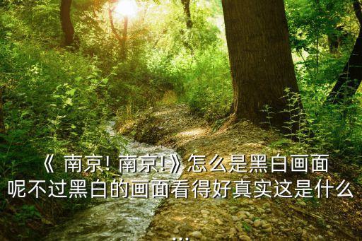 南京南京影評(píng),看完電影《南京!南京!》影評(píng)要完全自編