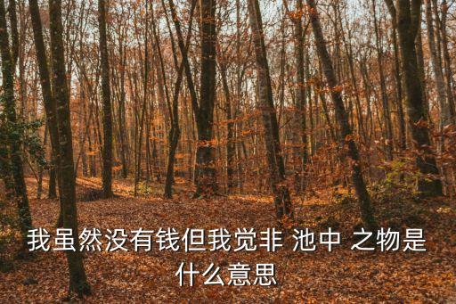 池中之物,第1集:有才華不要閑著池中之物:是金麟a池中物