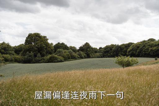 屋漏偏逢連夜雨下一句