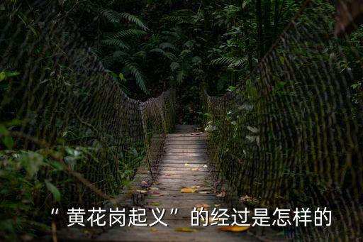 “ 黃花崗起義”的經過是怎樣的