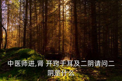 中醫(yī)師進,腎 開竅于耳及二陰請問二陰是什么