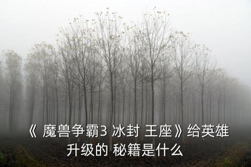 《 魔獸爭霸3 冰封 王座》給英雄升級的 秘籍是什么
