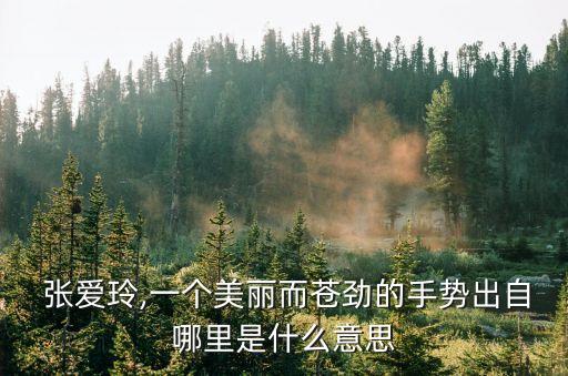  張愛玲,一個美麗而蒼勁的手勢出自哪里是什么意思