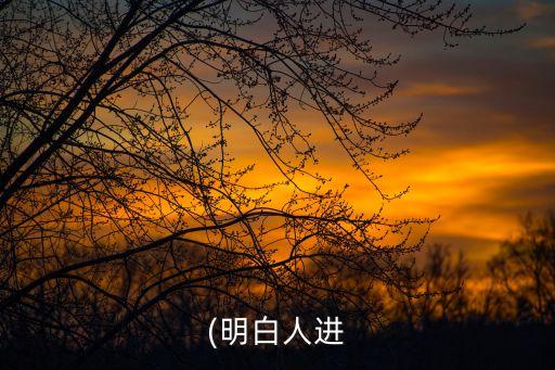 (明白人進