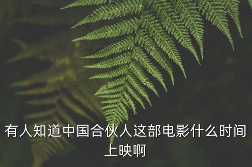 有人知道中國合伙人這部電影什么時間上映啊