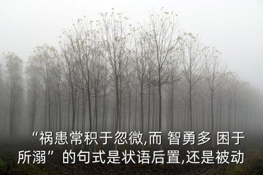 而智勇多困于所溺,智勇多困于所溺疑似句式是句式后置