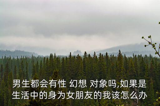 男生都會有性 幻想 對象嗎,如果是生活中的身為女朋友的我該怎么辦