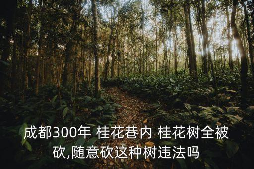 成都300年 桂花巷內 桂花樹全被砍,隨意砍這種樹違法嗎