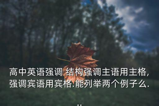 高中英語強調 結構強調主語用主格,強調賓語用賓格.能列舉兩個例子么...