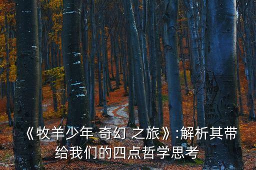 牧羊人的奇幻之旅,《牧羊少年奇幻之旅》精髓在于尋找天命