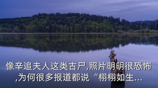 濕尸,腐尸和干尸比起來(lái)僵尸更逼真!