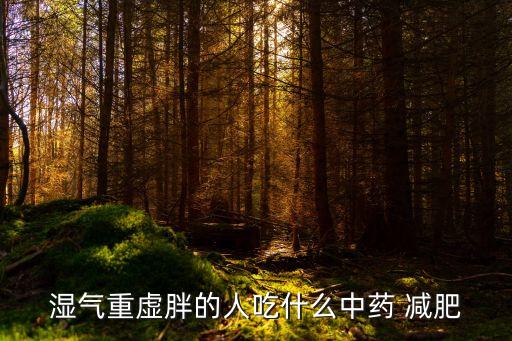 除濕減肥方子,減肥最有效的方法中藥減肥法效果明顯