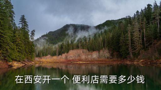 在西安開一個 便利店需要多少錢