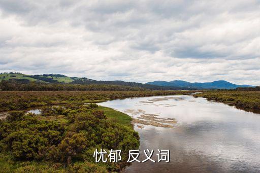 憂郁反義詞,慢易憂驕易怨憂郁de反義詞