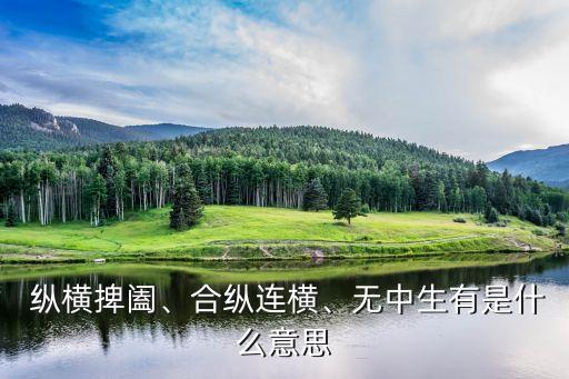  縱橫捭闔、合縱連橫、無中生有是什么意思