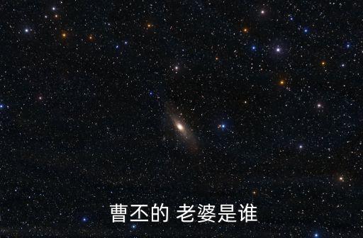  曹丕的 老婆是誰